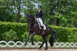 Pikeur Lilien Frack Ladies Dressage Tails Coat Shadbelly -Pikeur Store esk 0022 kam mood 02Kopie jpeg lowres von master