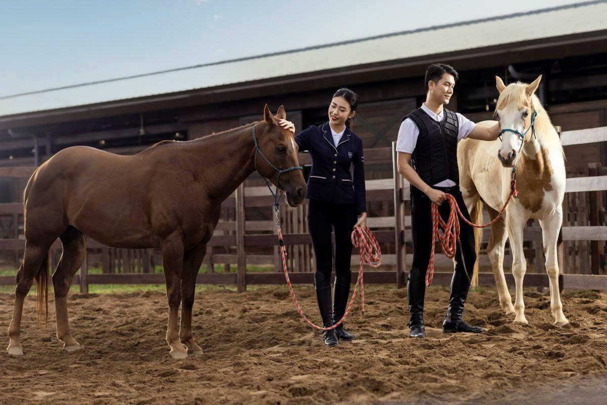 Pikeur Store -Pikeur Store z6735442450762 ee17ef9b8ce11a6ecd8dd87ea47dc3ce